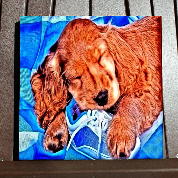 Custom Pet Canvas